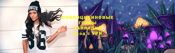 соль ск Балабаново