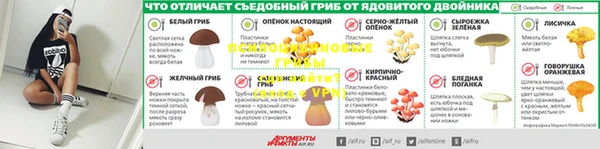 каннабис Баксан
