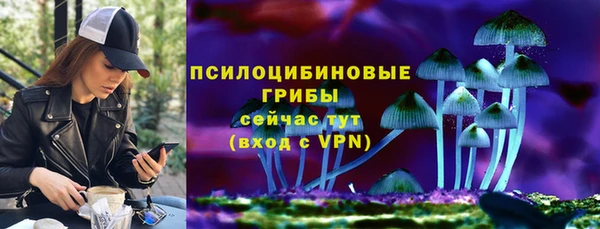гидропоника Снежинск